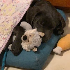 Meet your Posher, Laura